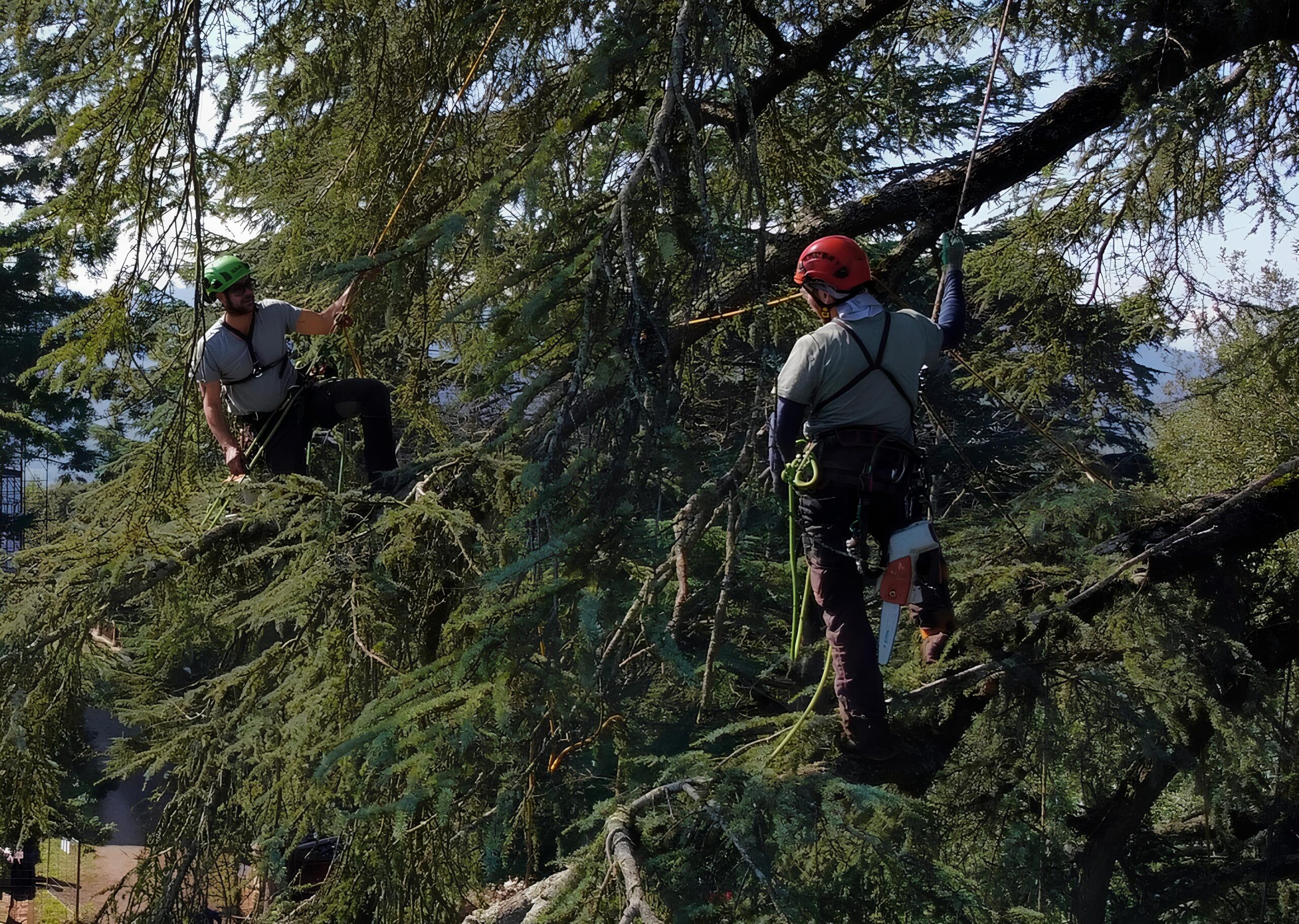 Sammezzano, un nuovo inizio: tra attesa, responsabilità e futuro condiviso