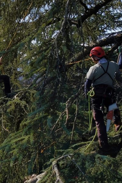 Sammezzano, un nuovo inizio: tra attesa, responsabilità e futuro condiviso